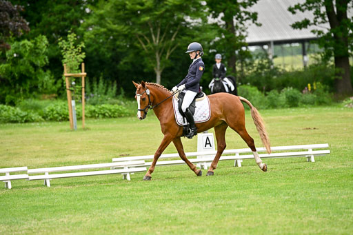  | 30052025 Dressur  (2246) 