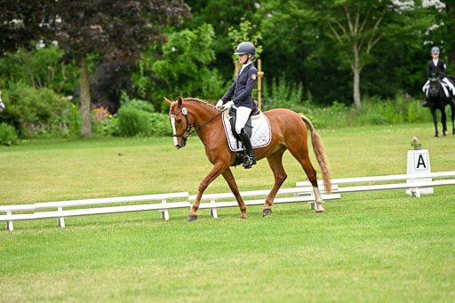  | 30052025 Dressur  (2247) 