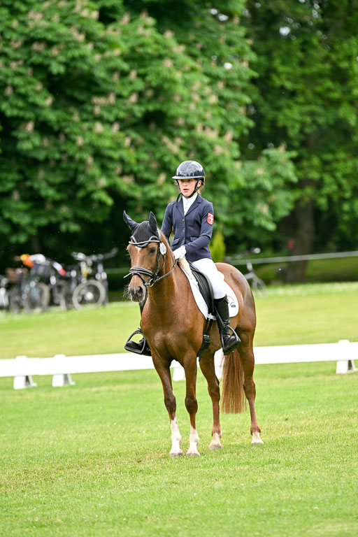  | 30052025 Dressur  (2253) 