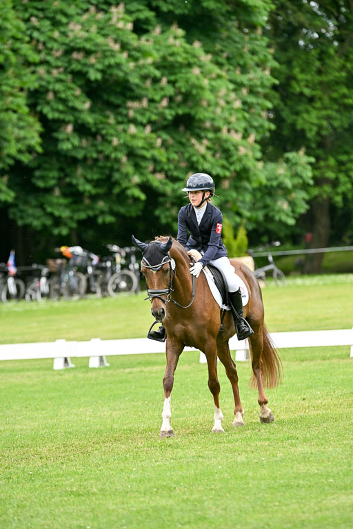  | 30052025 Dressur  (2254) 