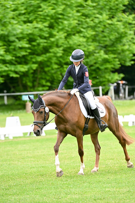  | 30052025 Dressur  (2255) 