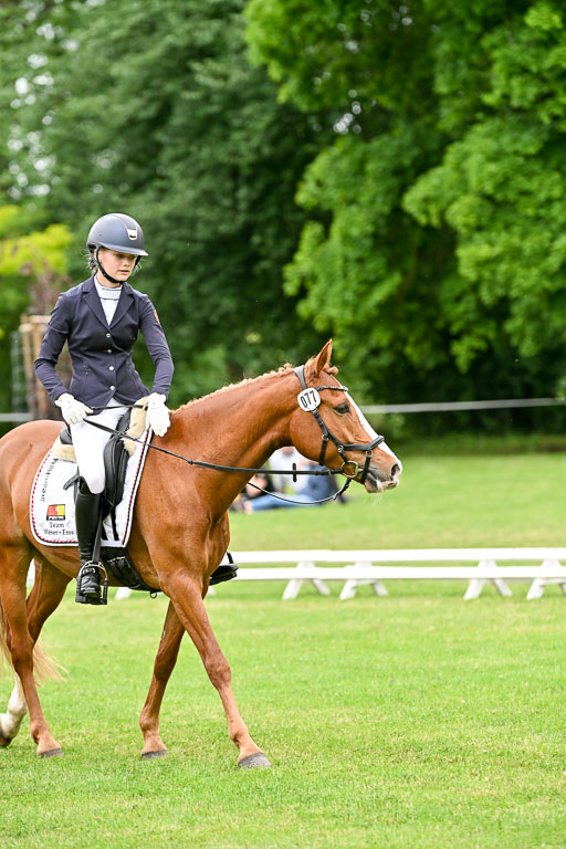  | 30052025 Dressur  (2258) 