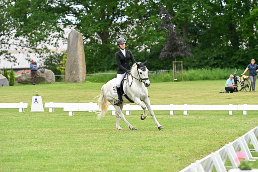  | 30052025 Dressur  (2277) 