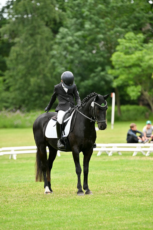 | 30052025 Dressur  (2289) 
