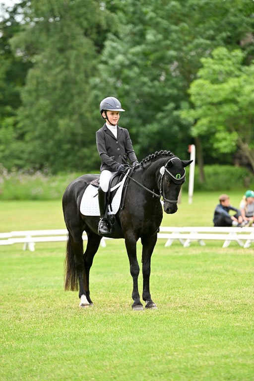  | 30052025 Dressur  (2290) 