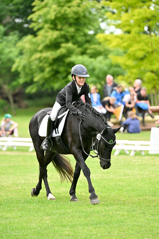  | 30052025 Dressur  (2293) 