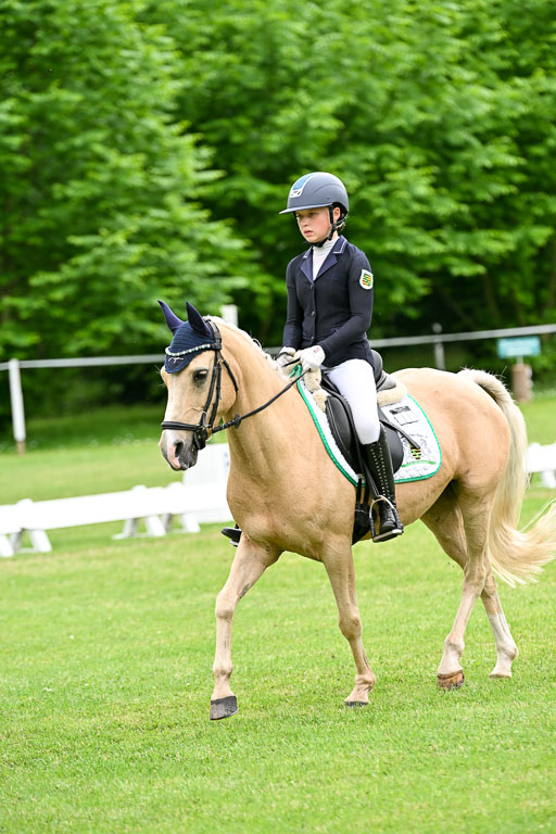  | 30052025 Dressur  (2304) 