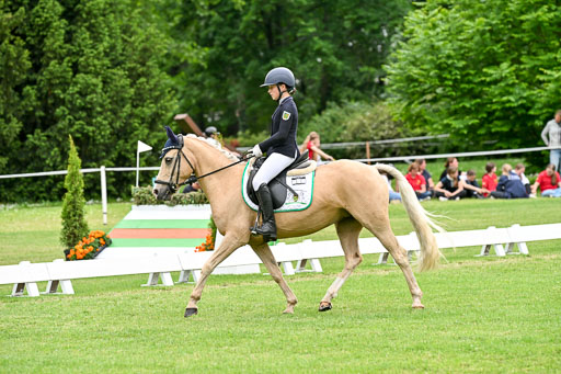  | 30052025 Dressur  (2306) 