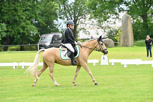  | 30052025 Dressur  (2308) 