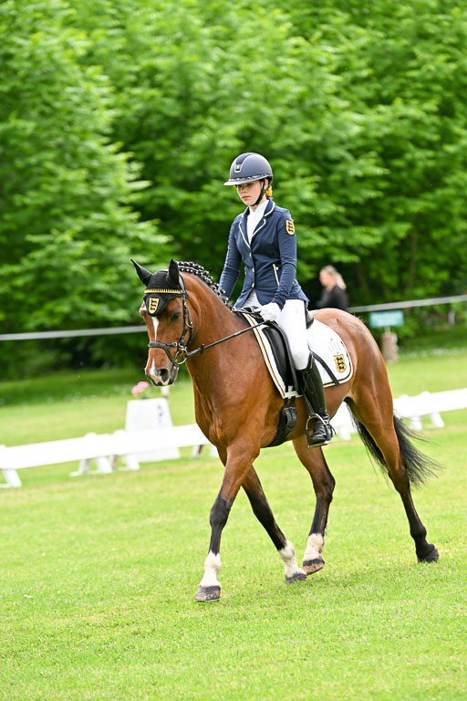  | 30052025 Dressur  (2338) 