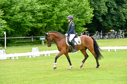  | 30052025 Dressur  (2344) 