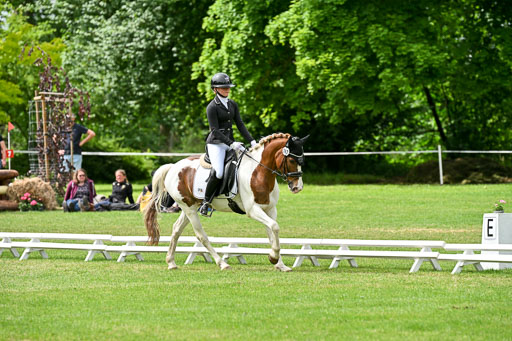  | 30052025 Dressur  (2350) 