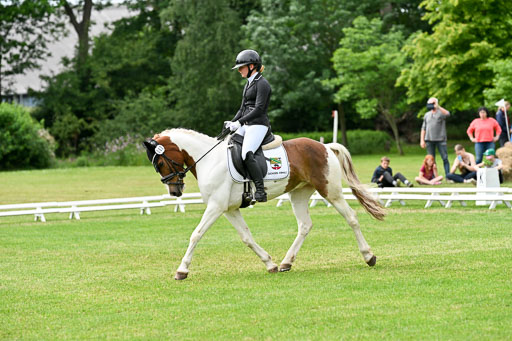  | 30052025 Dressur  (2359) 