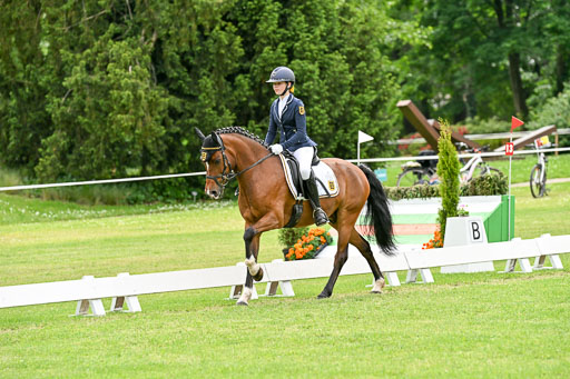  | 30052025 Dressur  (2361) 