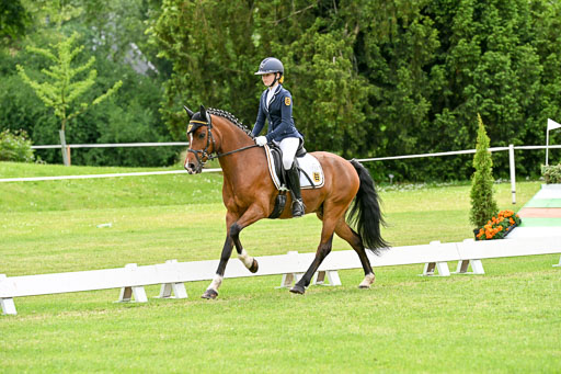  | 30052025 Dressur  (2362) 