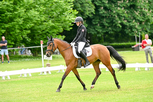  | 30052025 Dressur  (2372) 