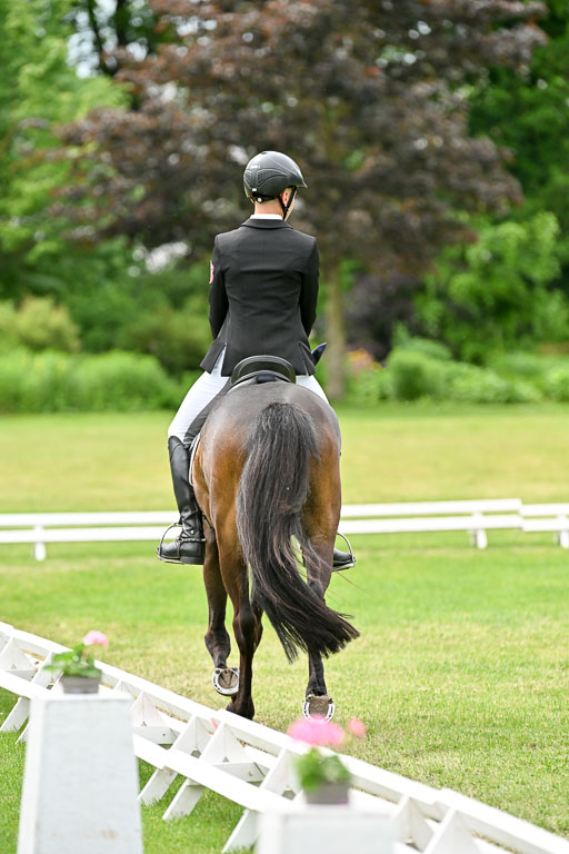  | 30052025 Dressur  (2378) 