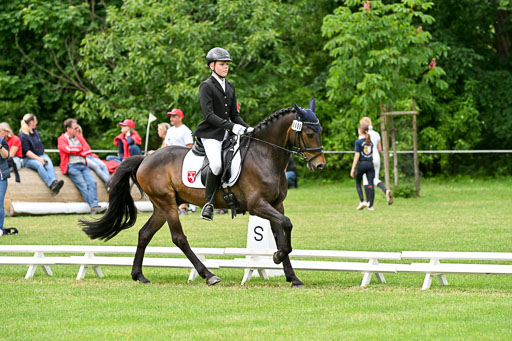  | 30052025 Dressur  (2382) 