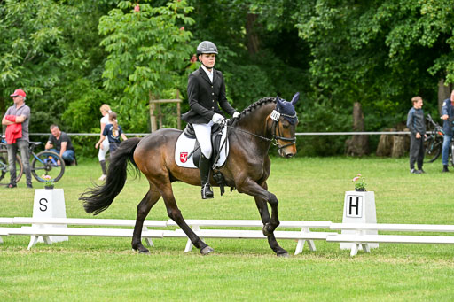  | 30052025 Dressur  (2383) 