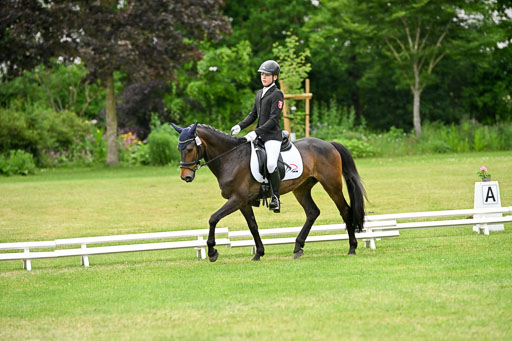  | 30052025 Dressur  (2384) 