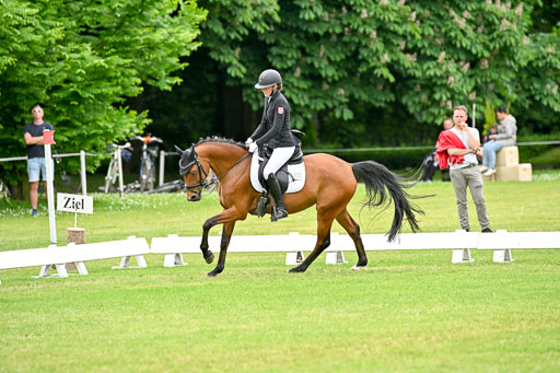  | 30052025 Dressur  (2385) 