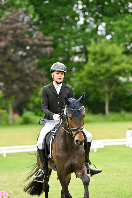  | 30052025 Dressur  (2393) 