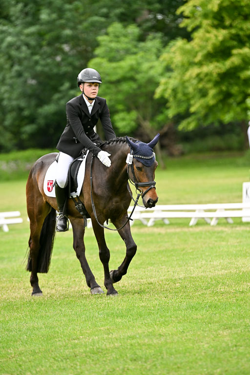  | 30052025 Dressur  (2397) 