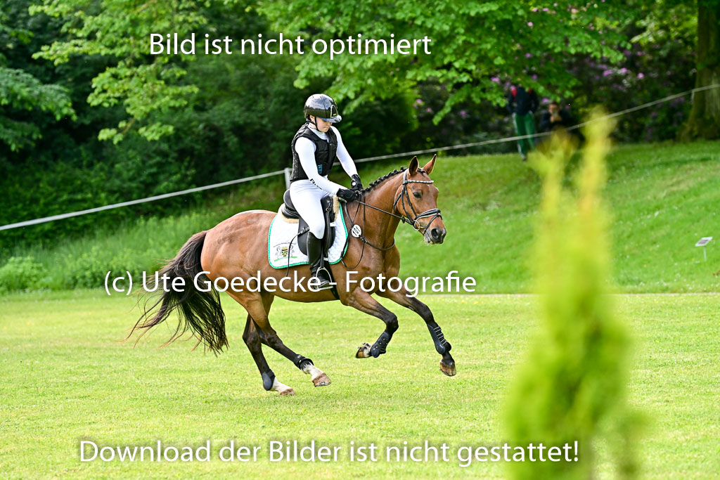 | 31052025 XC 1Abt 1_081 