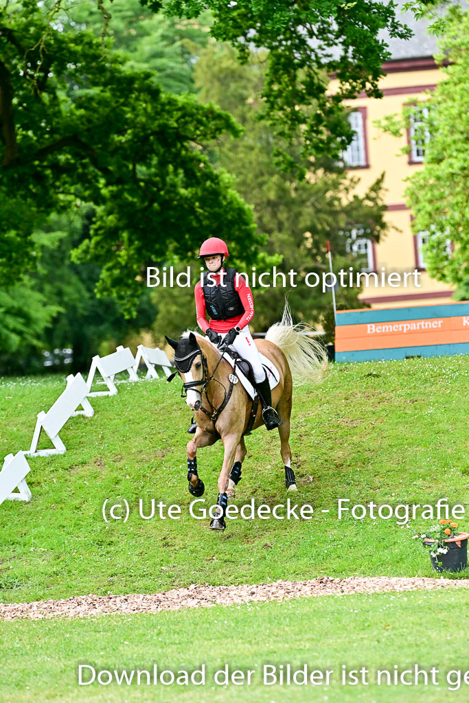  | 31052025 XC 1Abt 1_223 