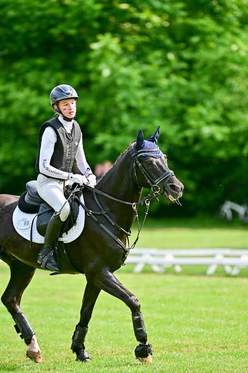  | 31052025 XC 1Abt 1_448 