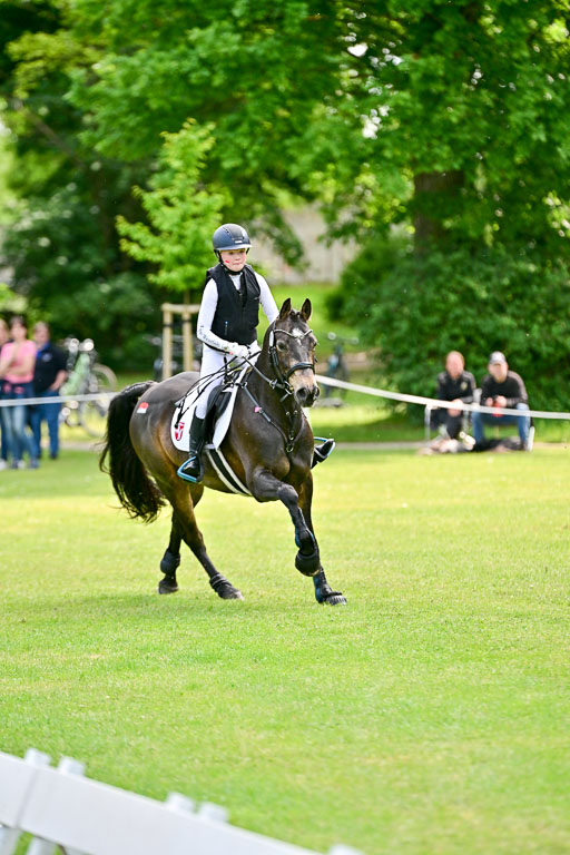  | 31052025 XC 1 Abt 3 _172 