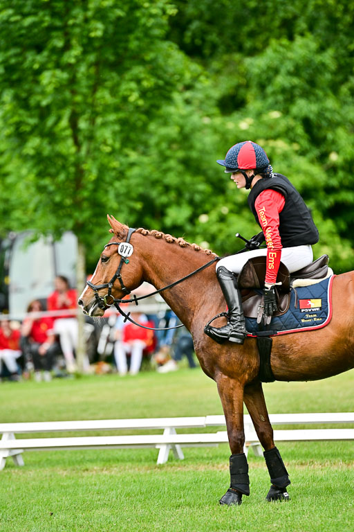  | 31052025 XC 2 Abt 3 _444 