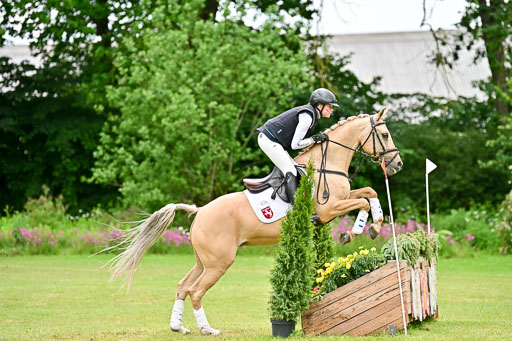  | 31052025 XC 2Abt 1 _446 