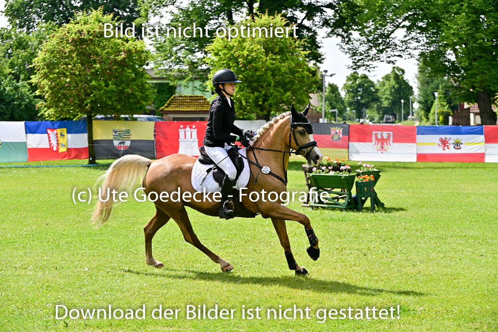 01062025-Springen-1-Abt-_064.jpg