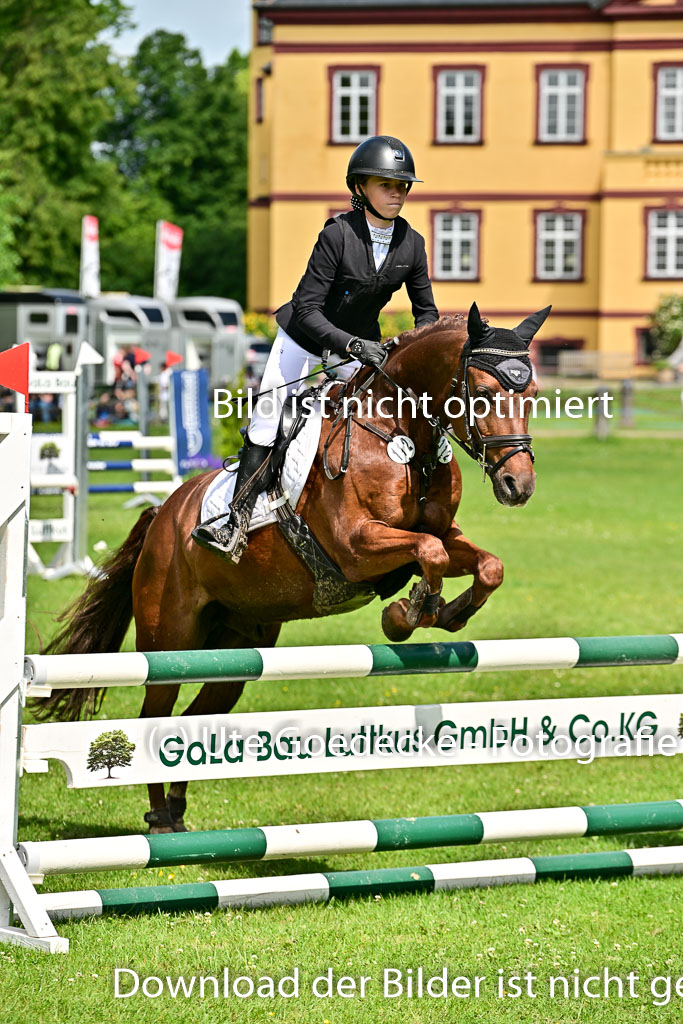 01062025-Springen-1-Abt-_229.jpg