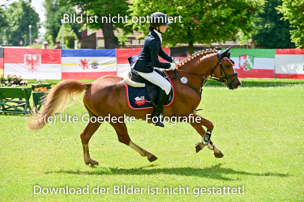 01062025-Springen-1-Abt-_294.jpg