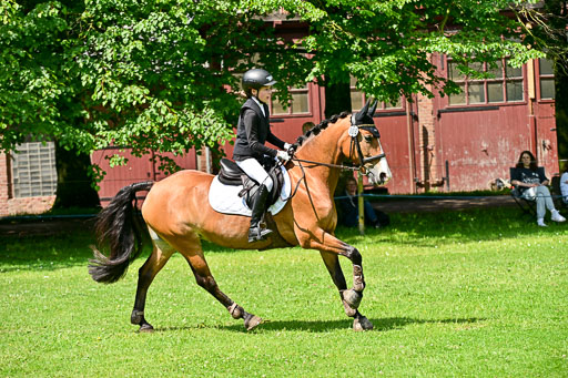  | 01062025 Springen 1 Abt _280 