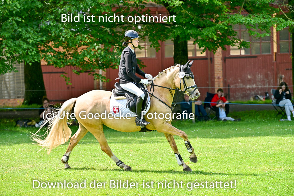  | 01062025 Springen 2 Abt _271 