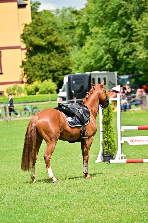  | 01062025 Springen 2 Abt _033 