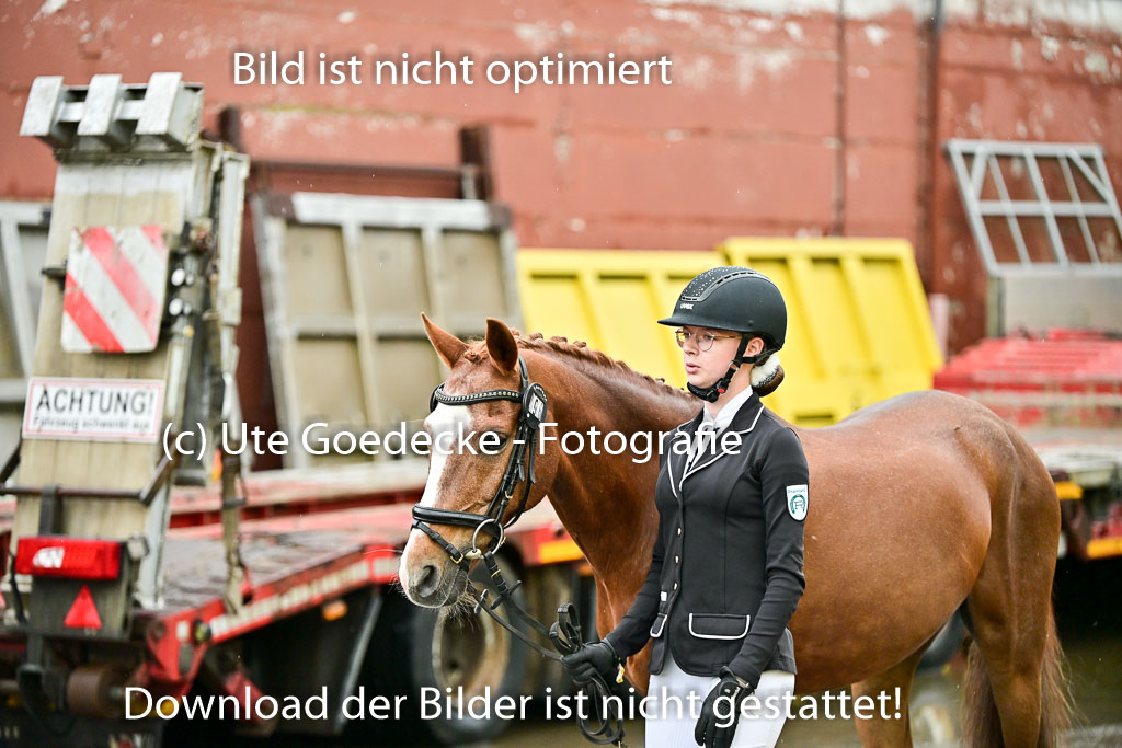  | Vormustern  (103) 