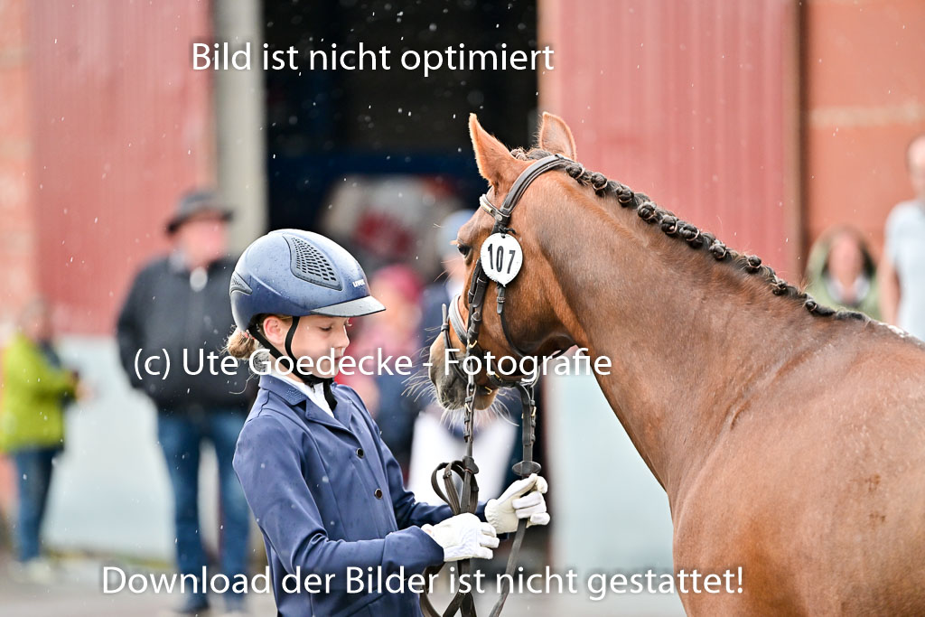  | Vormustern  (105) 