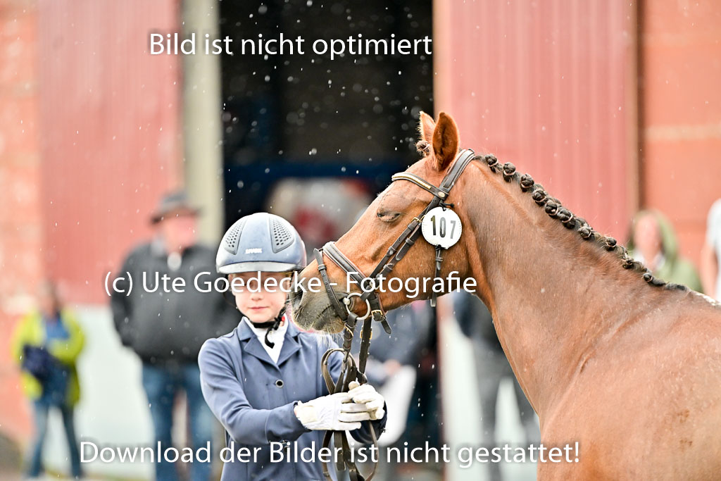  | Vormustern  (106) 