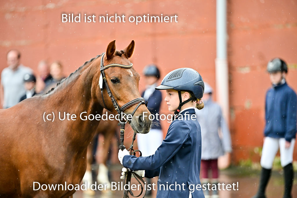  | Vormustern  (110) 