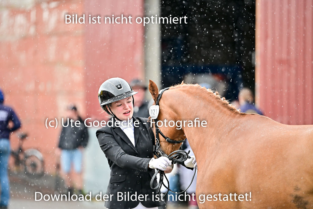  | Vormustern  (115) 