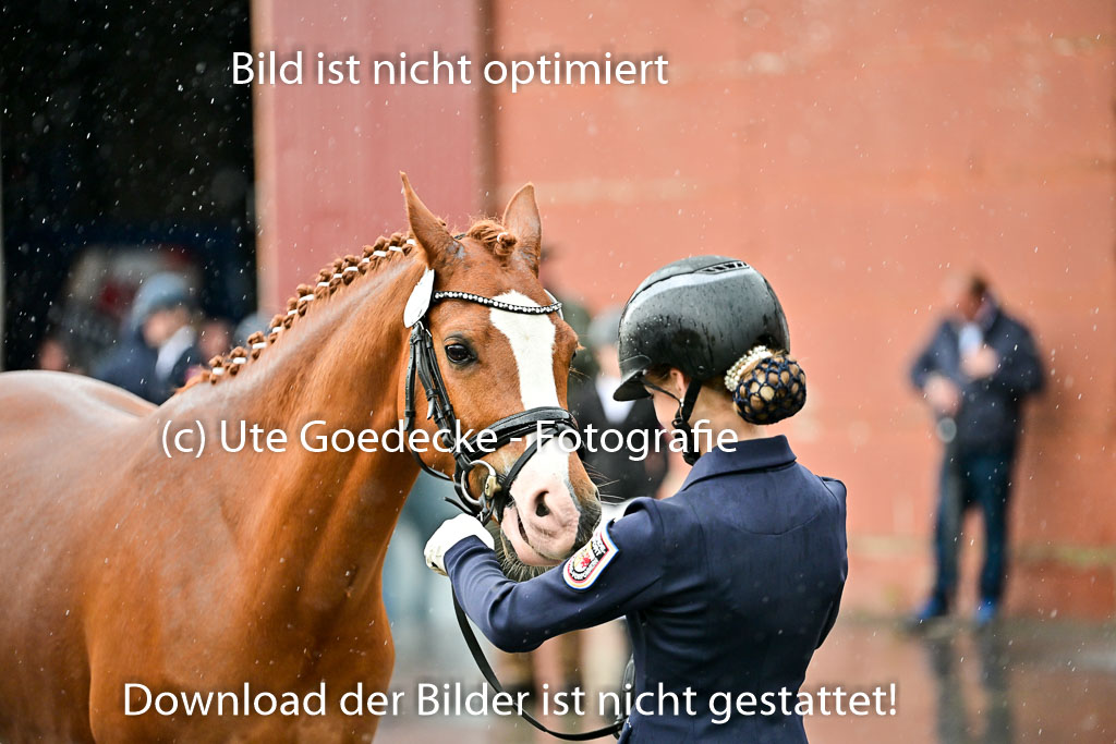  | Vormustern  (123) 