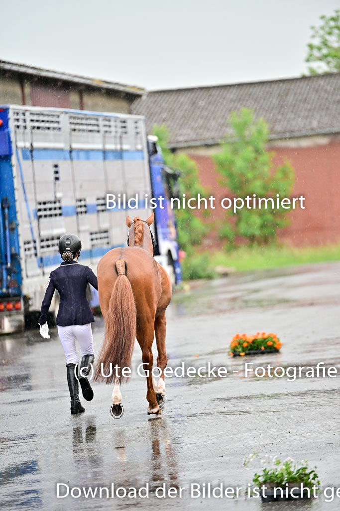  | Vormustern  (126) 
