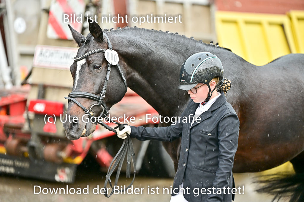  | Vormustern  (139) 