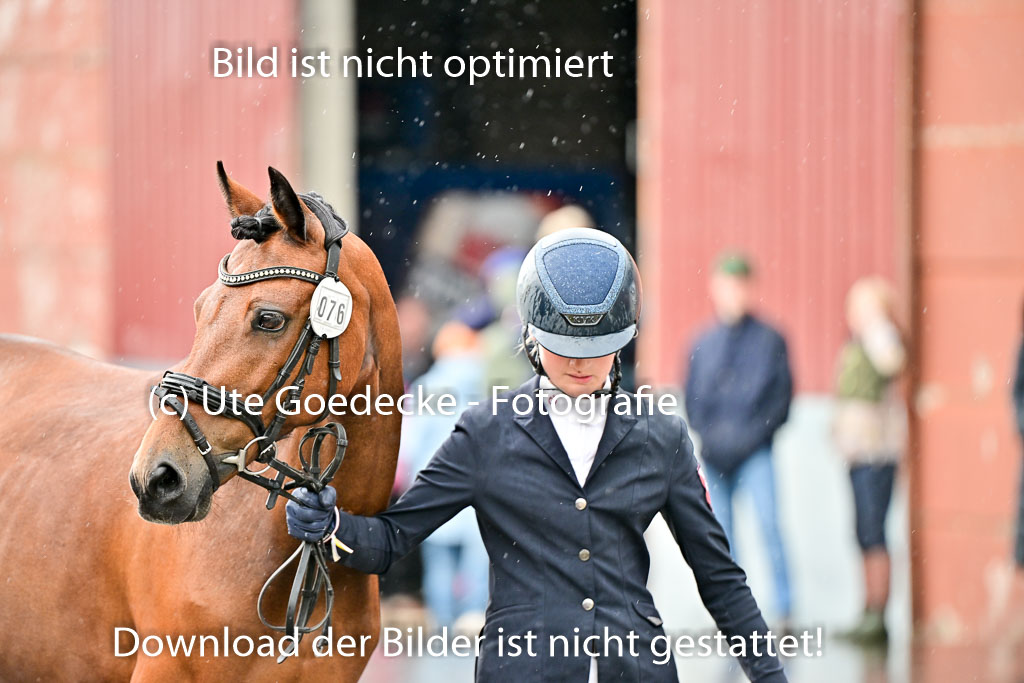  | Vormustern  (147) 
