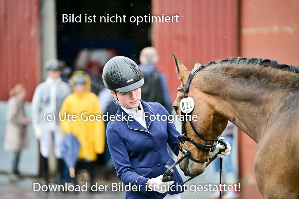  | Vormustern  (15) 