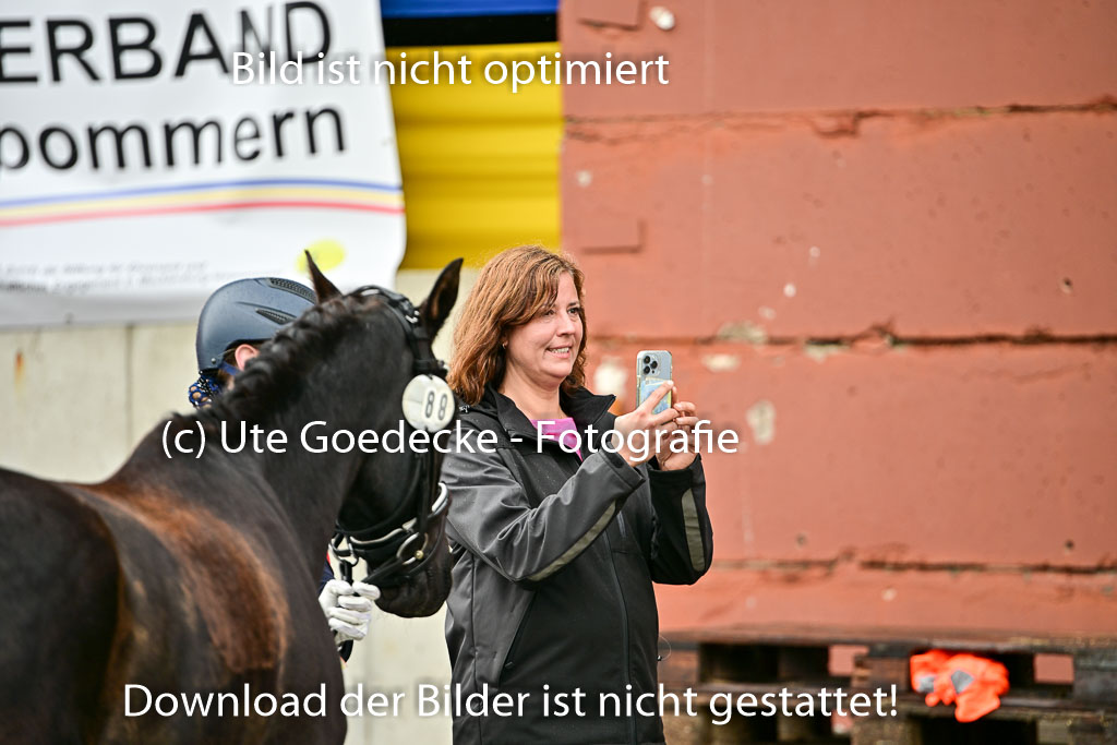  | Vormustern  (155) 